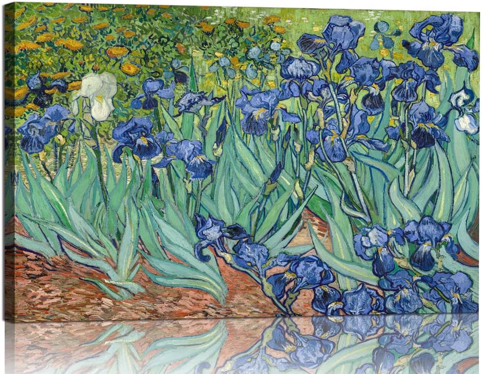 YRYWAWA Van Gogh Irises Canvas Wall Art Irises Flower Garden Canvas Art Prints Famous Oil Painting Reproduction Pictures Modern Floral Artwork Classic Decor for Living Room Bedroom Office Home Decor 24x36 inch